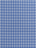 TESSUTO A QUADRETTI BLU