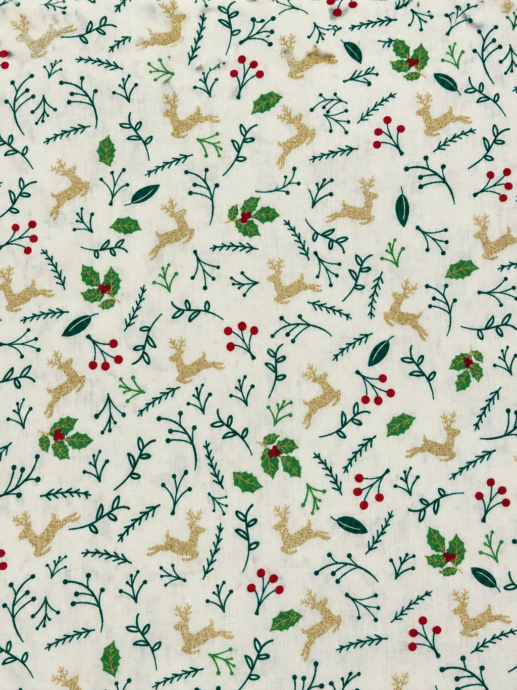 COTONINO DI NATALE