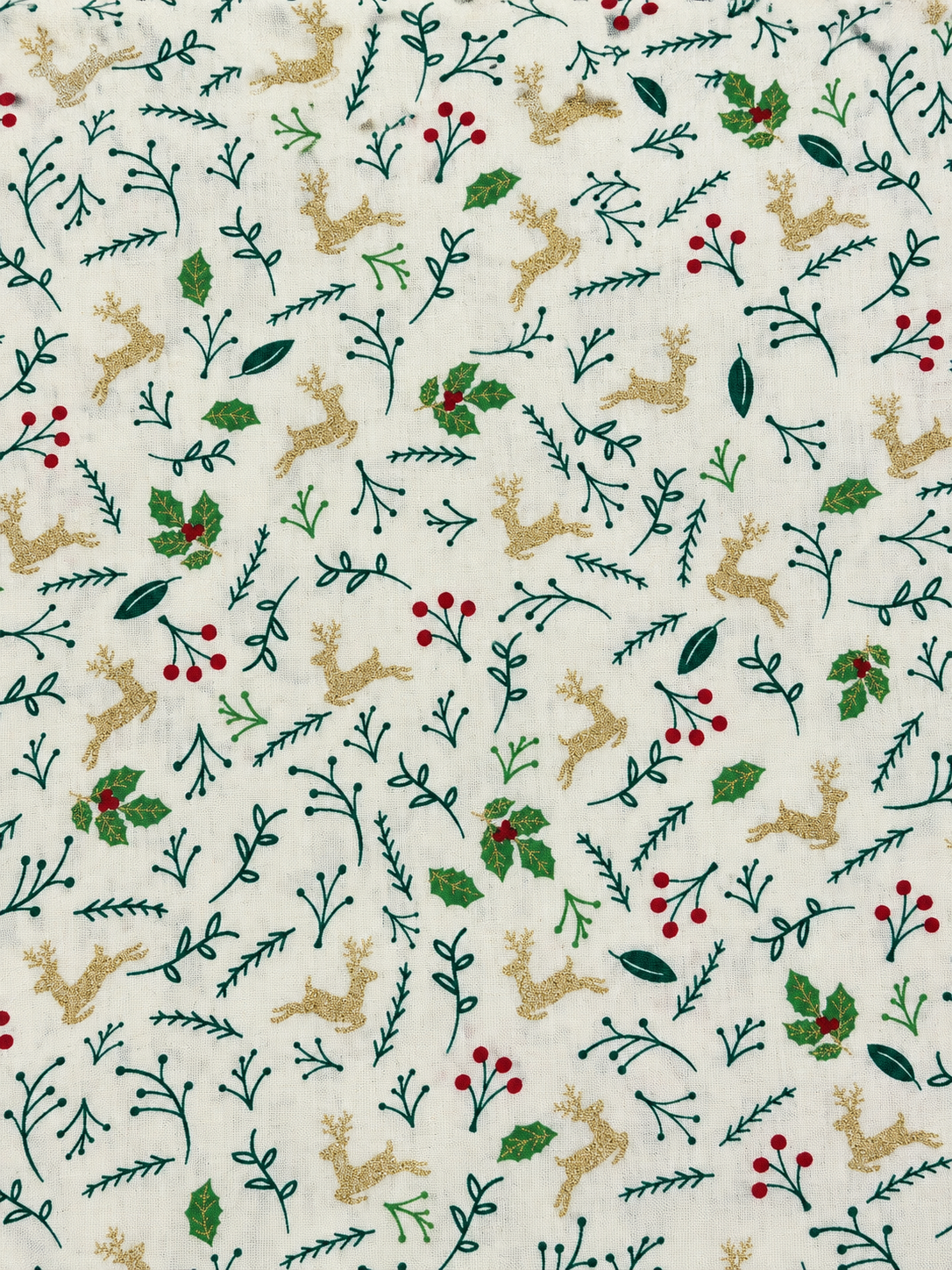 COTONINO DI NATALE